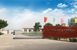 Verified China supplier - Shenzhen Ruixin Glassware Co.,Ltd