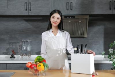 Chine Créez la conception automatiquement futés qu'UV stérilisent désinfecter l'organisateur de bloc de couteau de support de couteau pour la cuisine à vendre