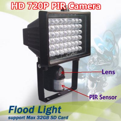 China Flood Light Security PIR DVR Camera IR LED Night Vision CCTV Surveillance DVR W/ 54pcs LED for sale