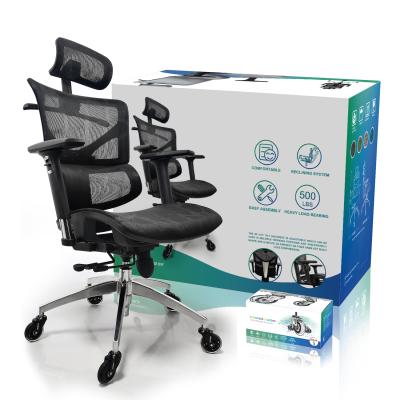China (Size) Full Mesh Rotating Office Chair Mesh Adjustable Modern High Quality Ergonomic Staff Chair for sale