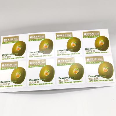China Etiquetas de prateleira vegetais da loja de Pantone CMYK da etiqueta dos produtos alimentares de BOPP à venda