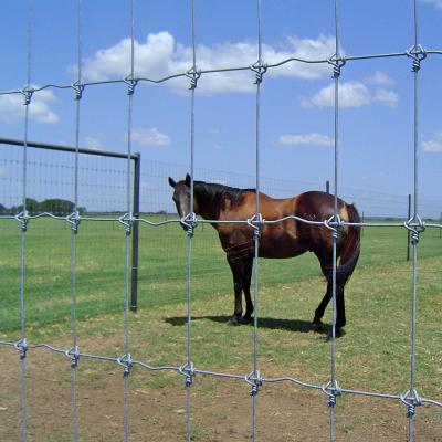 China Goat Farm Fixed Knot Field Fence Galvanized Stainless Steel for sale