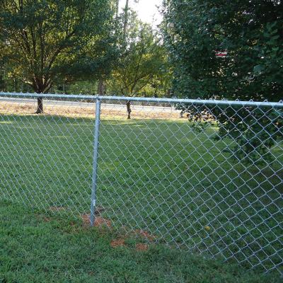 China Hot Dipped Galvanized Chain Link Fence PVC Coated 50ft Length for sale