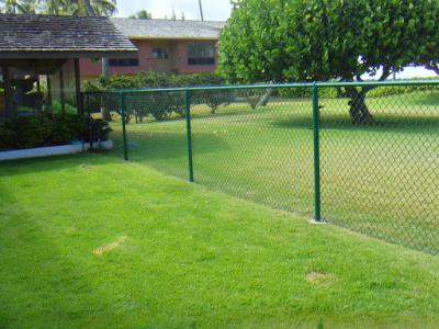 China Heavy Duty 2''X 2'' Chain Link Fence 9 Gauge Galvanized 50ft X 8ft Diamond Wire Mesh for sale