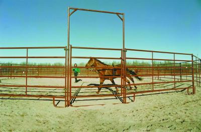 China Galvanized Steel Metal Farm Gate Powder Coated Livestock Horse Corral Fencing for sale