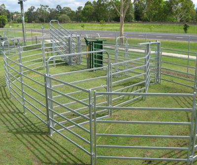 China 5ftx12ft Galvanized Corral Fence Metal Cattle Farm Yard Fence for sale