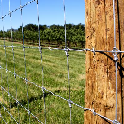 China High Tensile Fixed Knot Fence Grassland Deer Farm Hot Dipped Galvanized for sale