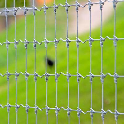 China Hot Dip Galvanized Deer Fixed Knot Fence 4ft 5ft 6ft 7ft 8ft for sale