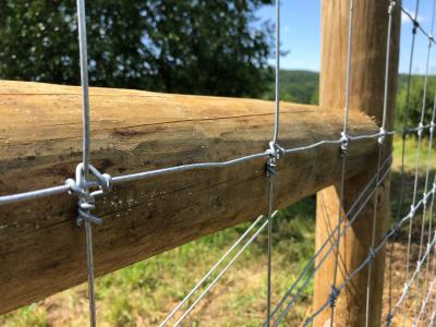 China Deer Fixed Knot Fence 1.2m Hinge Joint Cattle Wire Mesh Field Fence for sale
