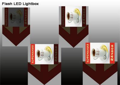 China Caja de iluminación elegante del artista LED, 2000 flashes Lightbox del lux LED para la animación en venta