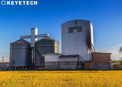 China sistema de inspeção Inseto-comido do defeito do analisador da qualidade da grão do arroz do AI à venda