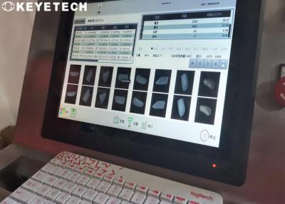 China Equipamento do analisador da grão do QC da fábrica para a inspeção da superfície do alimento à venda