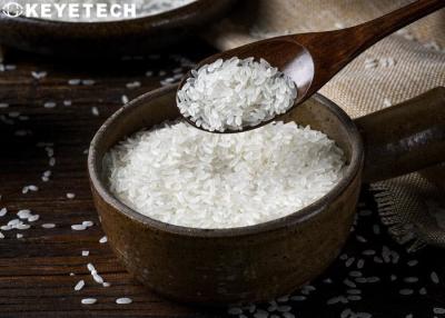 China Equipamento do analisador da grão do QC da fábrica para a inspeção da superfície do alimento à venda