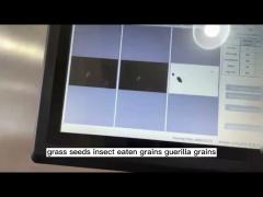 Fast and high-precision wheat quality analyzer
