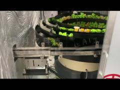 Inspecção de vedação por indução, verificação, máquina de inspecção de montagem de tampa de garrafa