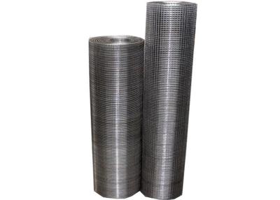 China Hardware Galvanized Welded Wire Mesh Lightweight 16 Gauge For Dogs for sale