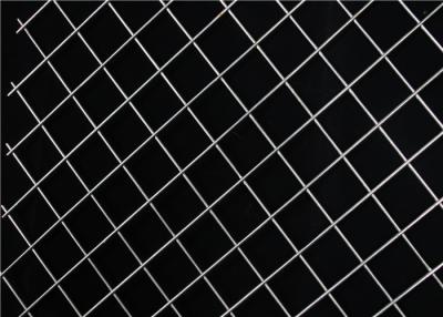 China Bird Cage Stainless Steel Welded Mesh Panels W2m Galvanized for sale