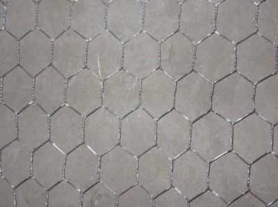 China Hd Galvanized Stainless Steel Chicken Wire Mesh W2m for sale