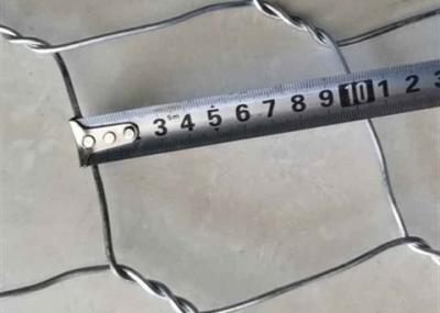 Cina Rete metallica esagonale galvanizzata 19mm a 3/4 pollici di BWG 21 in vendita