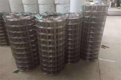 China 3/8''X3/8'' 1m X 30m 304 Stainless Welded Wire Mesh for sale