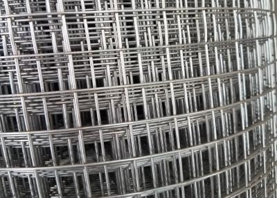 China Breeding Net / Plastered 1x30m Ss Welded Wire Mesh for sale