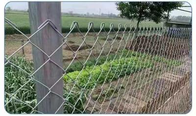 China 2m Height Garden Iron Wire Mesh 1.5mm Pvc Coated Chain Link Fence for sale