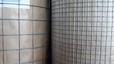 China 1/2 Inch Hole Size Electric Galvanized Pvc Coated Wire Mesh for sale