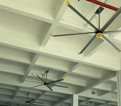 China Sports Center 14 Foot 5 Blade Hvls Industrial Fans For Home for sale