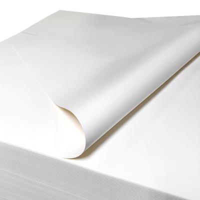 China 100% papel de impresión de copia libre de pelusa de pulpa de madera virgen para sala limpia en venta
