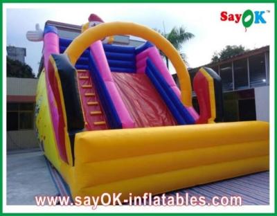 China Inflatable Swimming Pool Slide For Hire L6 X W3 X H5m Customized Inflatable Bouncer Slide 0.55mm PVC For Playground for sale