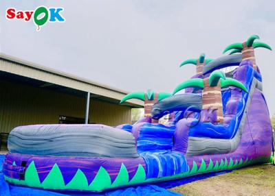 China Outdoor Inflatable Water Slides Commercial Inflatable Slide Water Park Purple Crush Dual Lane Inflatable Water Slide for sale