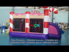 Indoor Rental Inflatable Bounce House With Slide PVC Materials