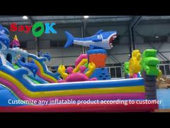 Commercial Blow Up Inflatable Castle Jumping Combo Bounce House Inflatable Castle Bounce Slide
