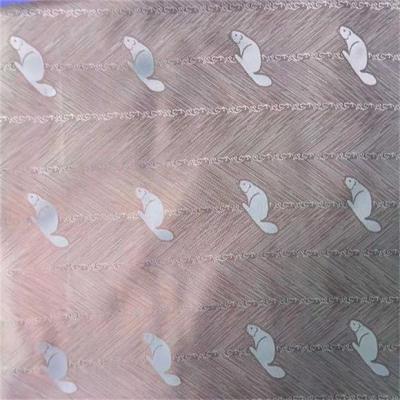 Chine toile d'armure toile du tissu 63dX75d de ratière du polyester 77gsm pour des vestes à vendre