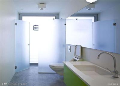 China Safety Tempered Frosted Glass Sheets / Custom Frosted Glass For Bathroom Door for sale