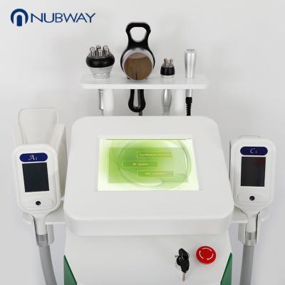 China Cryolipolysis weight loss fat freezing slimming 10.4 inch touch screen cryo fat freezing machine for beauty salon for sale