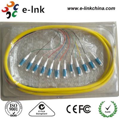 Chine Couleur de la queue de 12 fibres, de 1 mètre à vendre