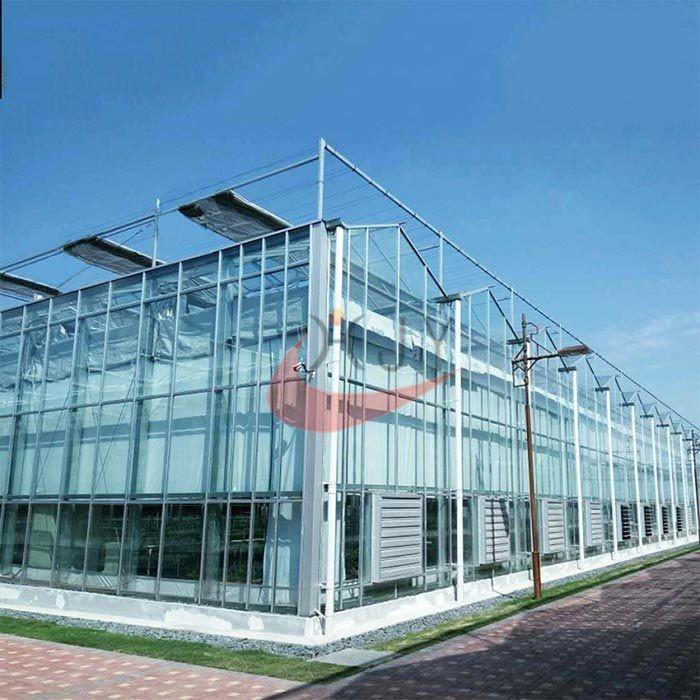 Verified China supplier - Xinghua Jinyi Greenhouse Equipment Co.,Ltd
