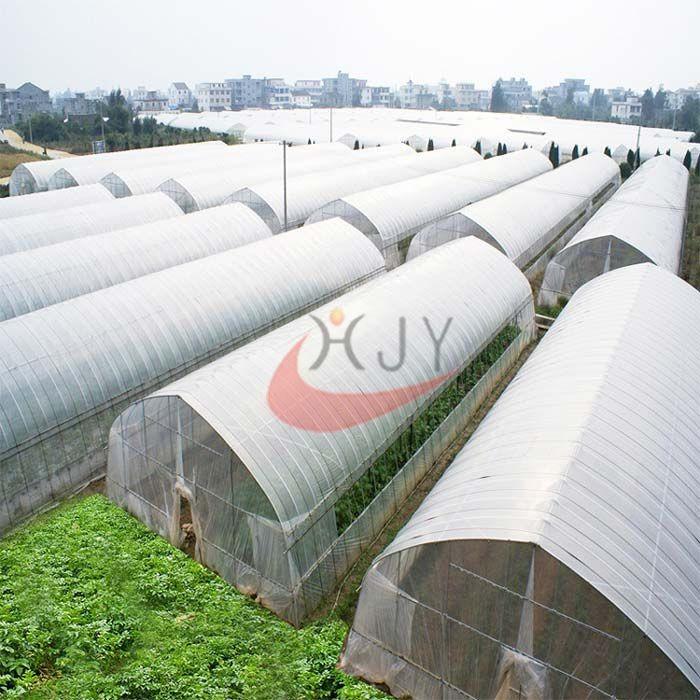 Verified China supplier - Xinghua Jinyi Greenhouse Equipment Co.,Ltd