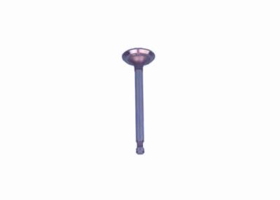 China Golf Cart Carryall Intake Valve G1017444 Fits For Club Car Gas 1996-Up DS Cars, FE350 for sale