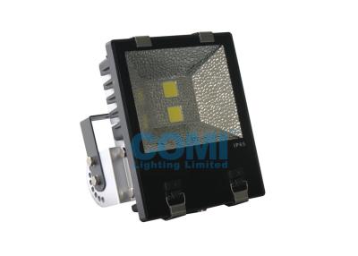 China 100W LED Flood Lights IP65 Waterproof  For Garden Tunnel Football Field for sale