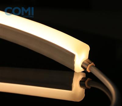 Chine L'appartement réglable au néon de lumières de bande de F15 F21 DMX LED/couvert d'un dôme forment 9W/le mètre CRI80 IP68 imperméabilisent à vendre