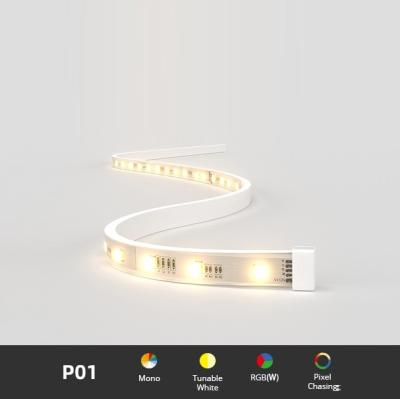 China DMX SPI Flex LED Strip Lights H7mm PWM DALI With Clear Milky Diffuser for sale