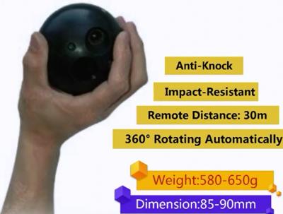 中国 回転は4 Circles/M 30mのビデオ監視装置の球Nir Ledsを促進する 販売のため