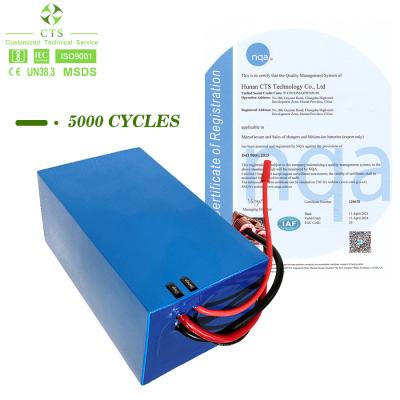 China Bateria de íon de lítio fabricada na China, bateria LiFePO4 OEM 12V 24V 36V 48V 60V, bateria LiFePO4 para scooter elétrica à venda