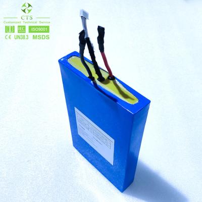 China CTS OEM Battery Pack 9.6V 11.1V 40Ah Lithium Ion LiFePO4 for sale