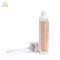 China Factory Oem Daily Makeup Glitter Lipgloss à venda