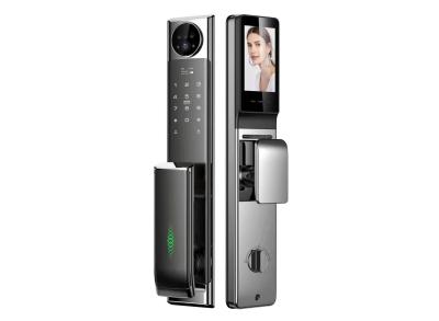 China Grey Cerradura Inteligente Video Calling Camera Door Lock Tuya for sale