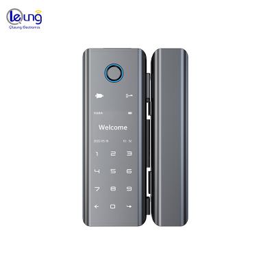 China Upgrade Your Security Tuya Wifi Biometric Lock for Home Hotel Apartments and Office for sale