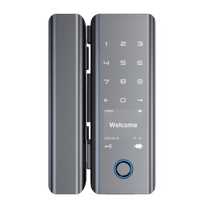 China Bloqueo de puerta digital biométrico Tuya G9S Bloqueo de puerta de cristal deslizante Bluetooth en venta